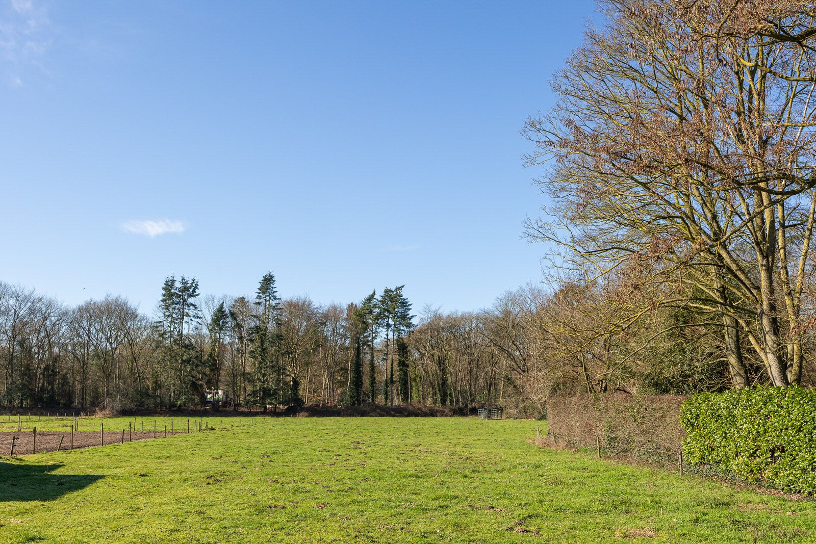 Photo 6 of Jachterf 11