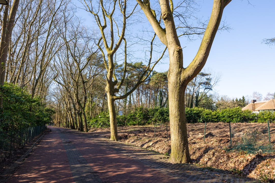 Foto 56 van Jachterf 11