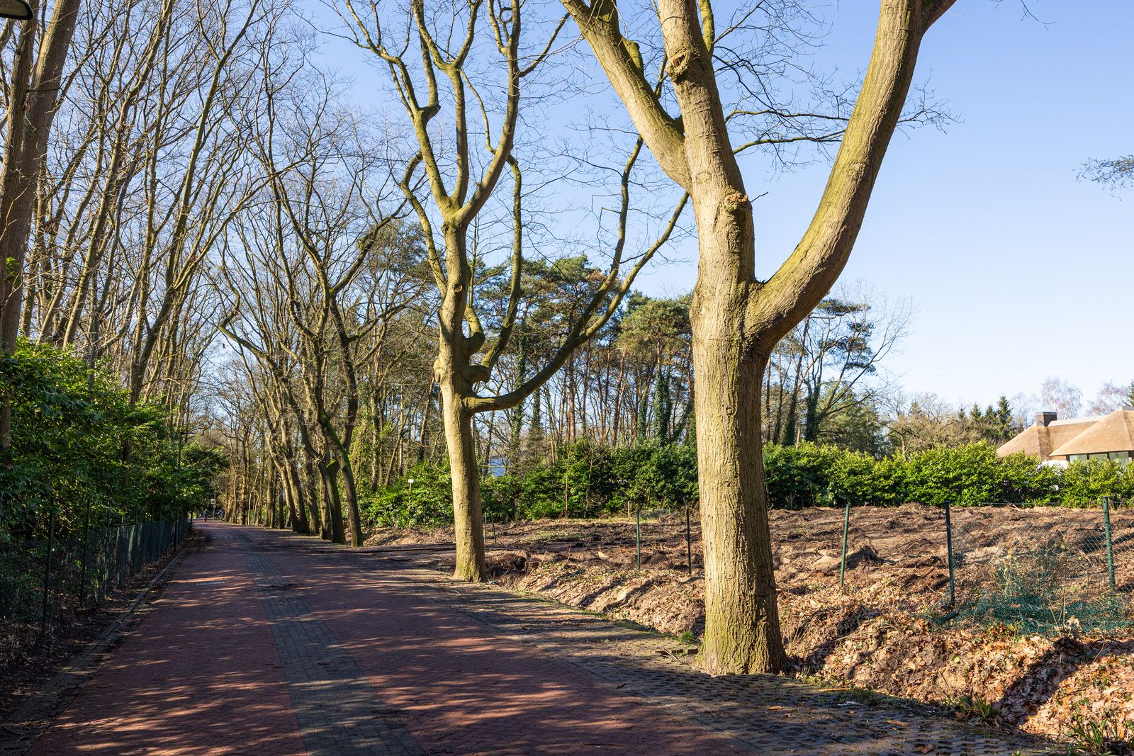 Photo 57 of Jachterf 11