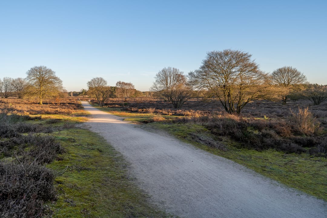 Foto 52 van Orionlaan 73