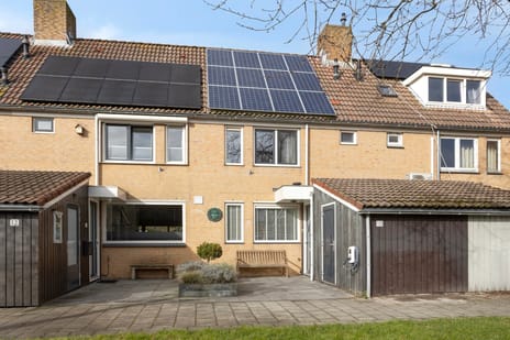 Looierstraat thumbnail