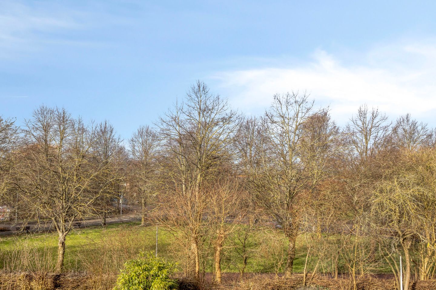 Foto 44 van Looierstraat 10