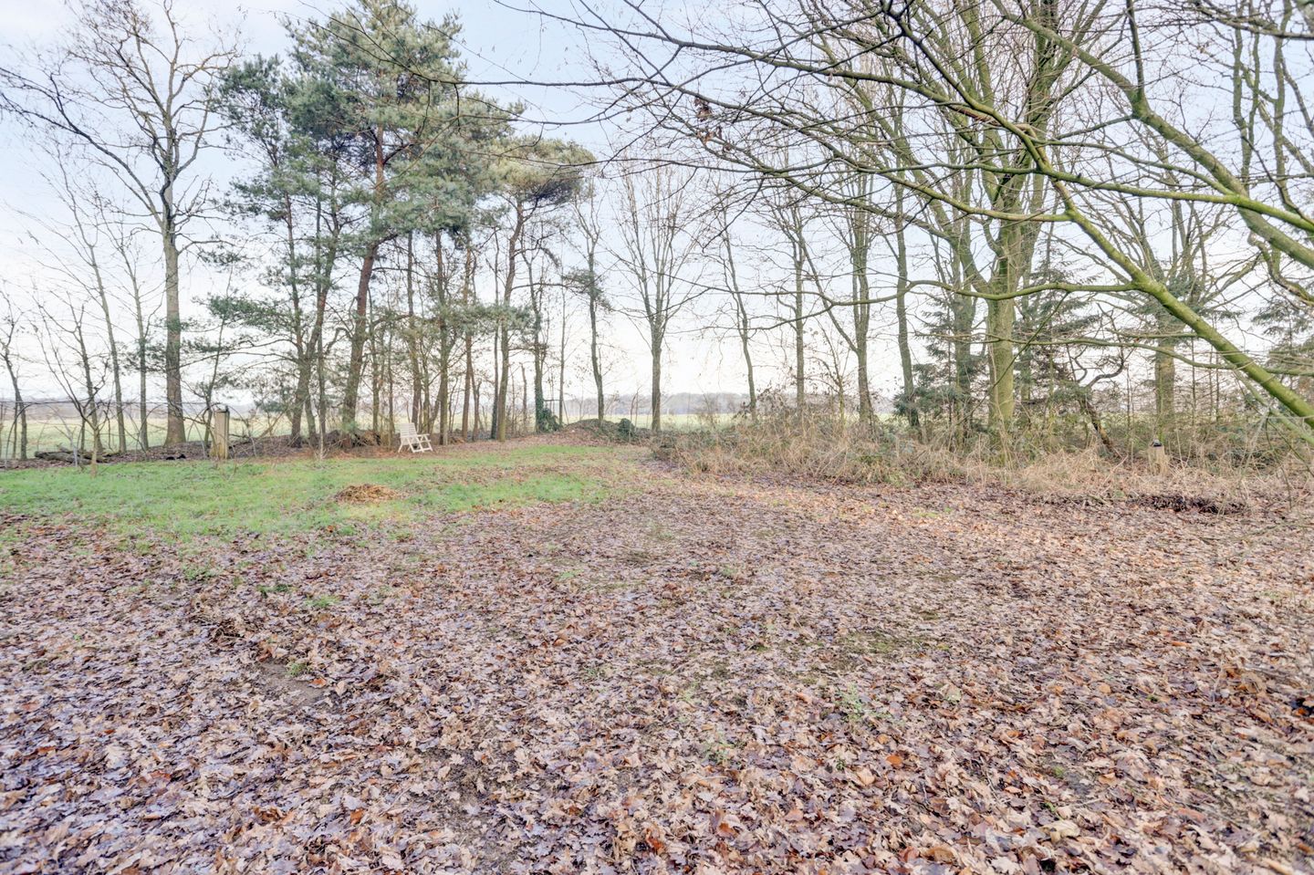 Photo 5 of Nieuwe Strumpt 7