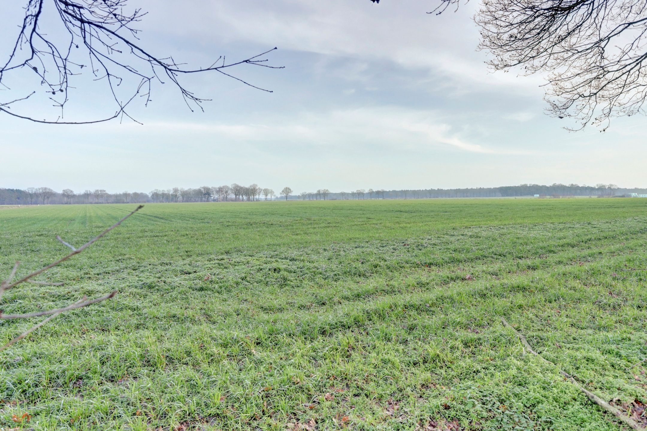 Photo 6 of Nieuwe Strumpt 7