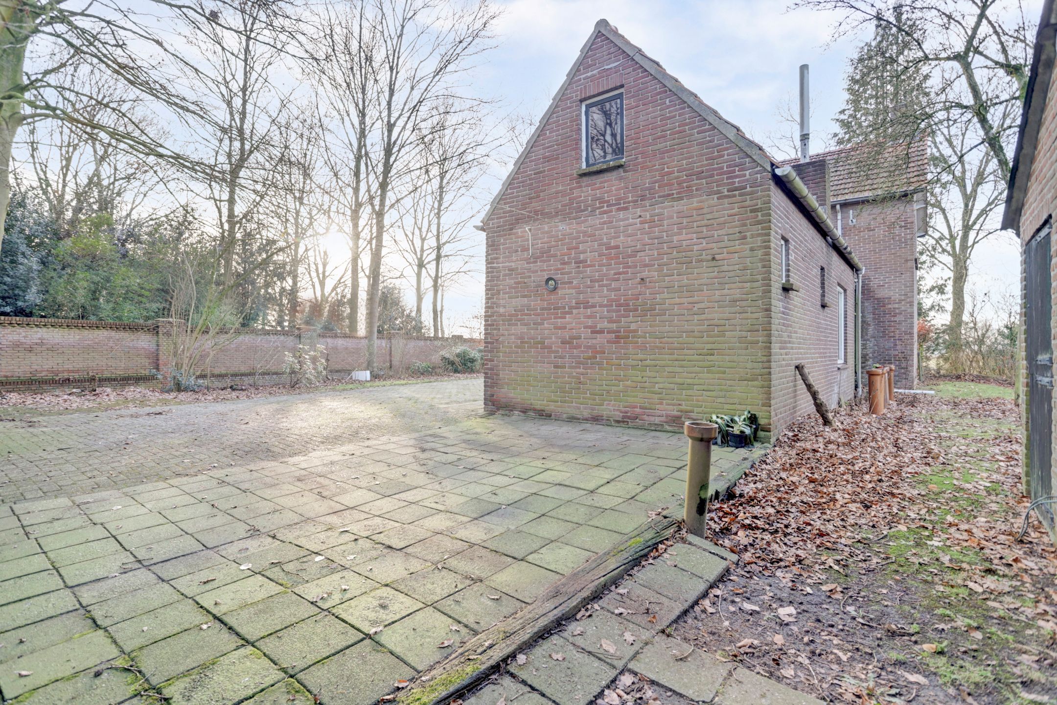 Photo 42 of Nieuwe Strumpt 7