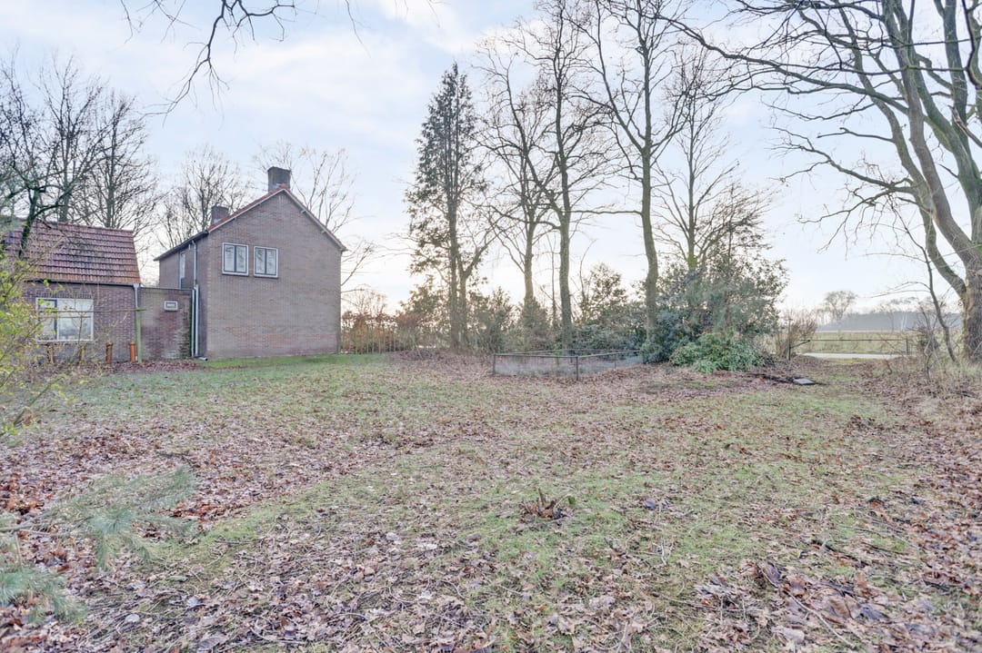 Photo 46 of Nieuwe Strumpt 7