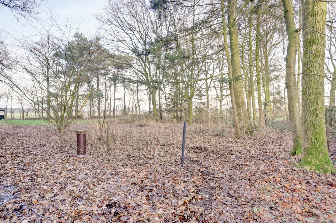 Photo 47 of Nieuwe Strumpt 7
