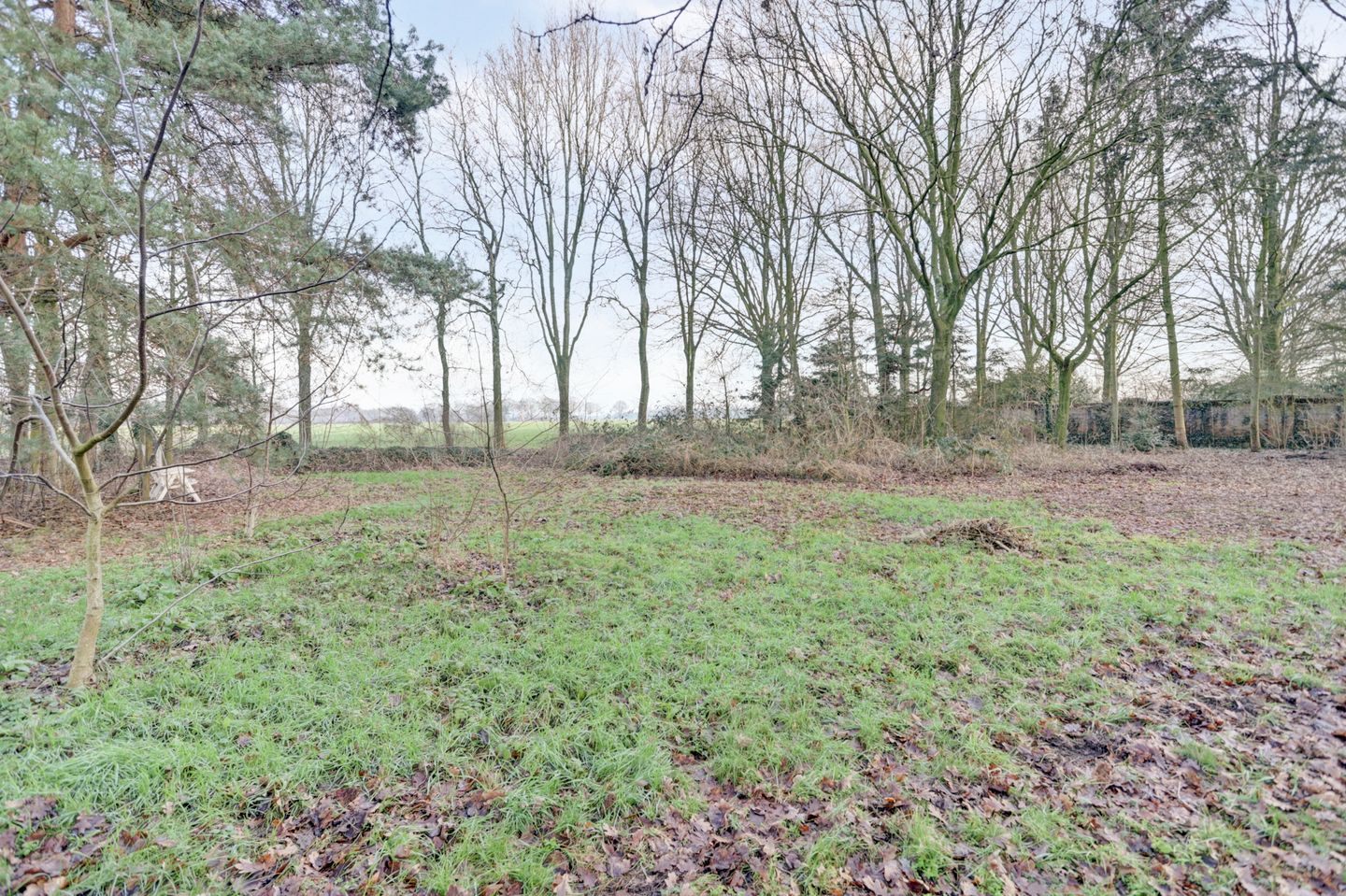 Photo 50 of Nieuwe Strumpt 7