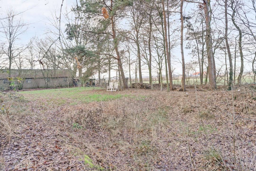 Photo 52 of Nieuwe Strumpt 7