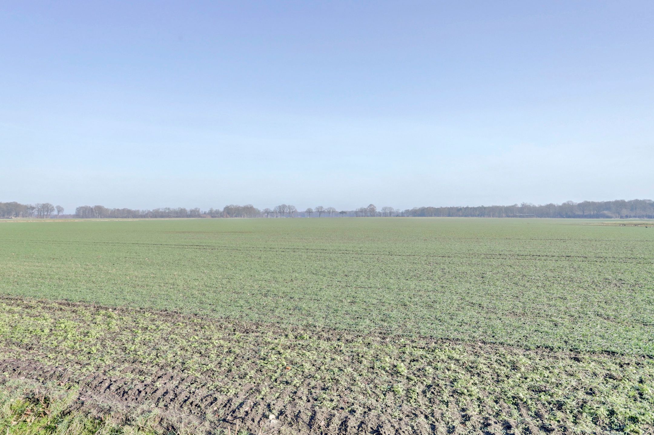 Photo 54 of Nieuwe Strumpt 7