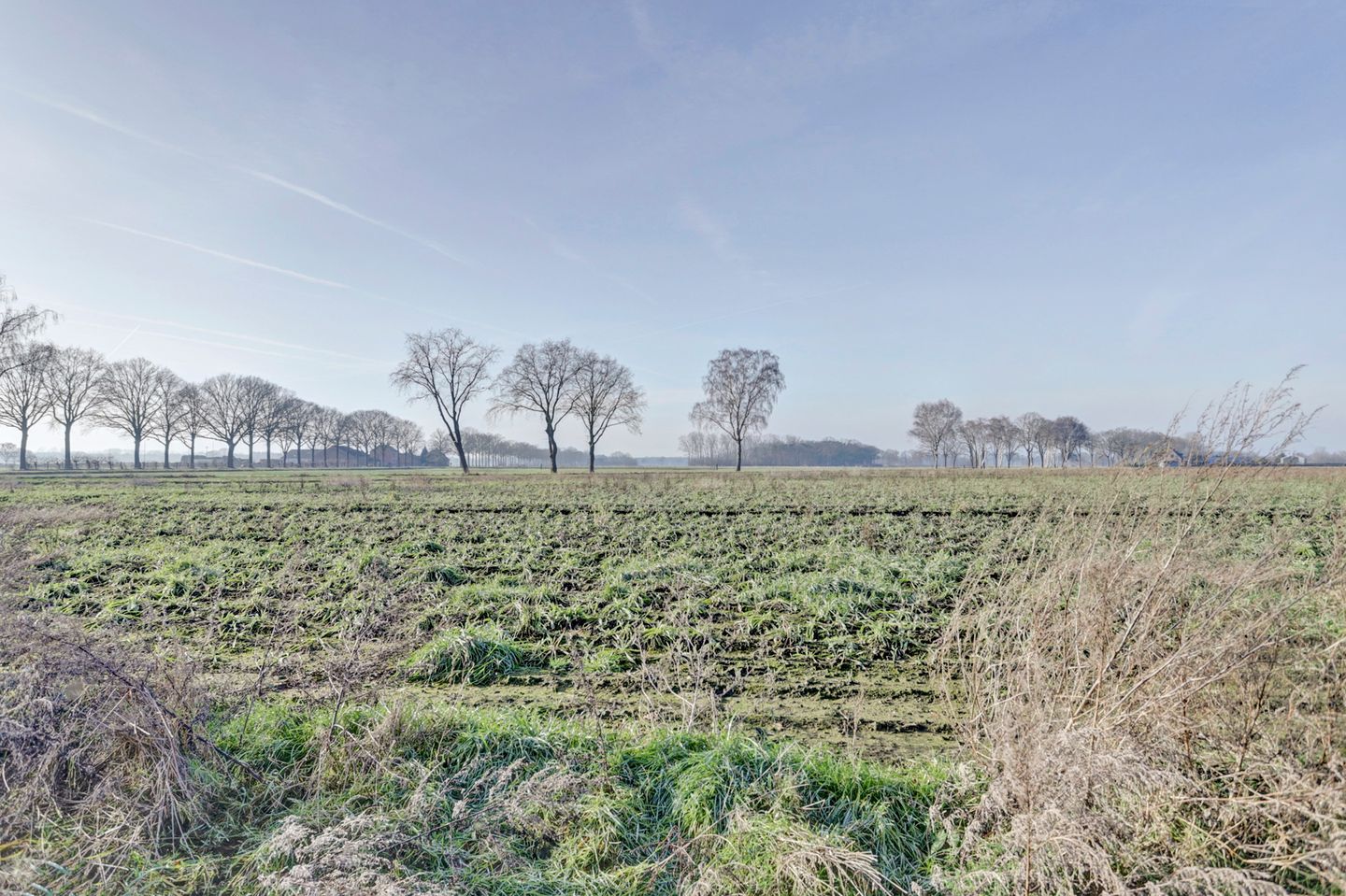 Photo 55 of Nieuwe Strumpt 7