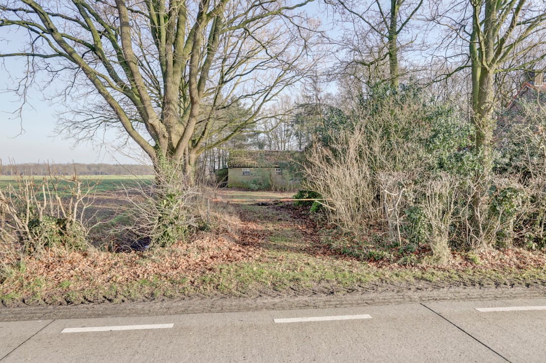 Photo 61 of Nieuwe Strumpt 7