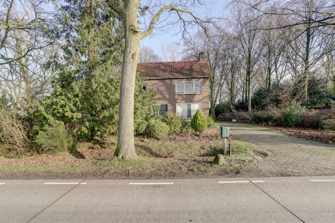 Photo 62 of Nieuwe Strumpt 7