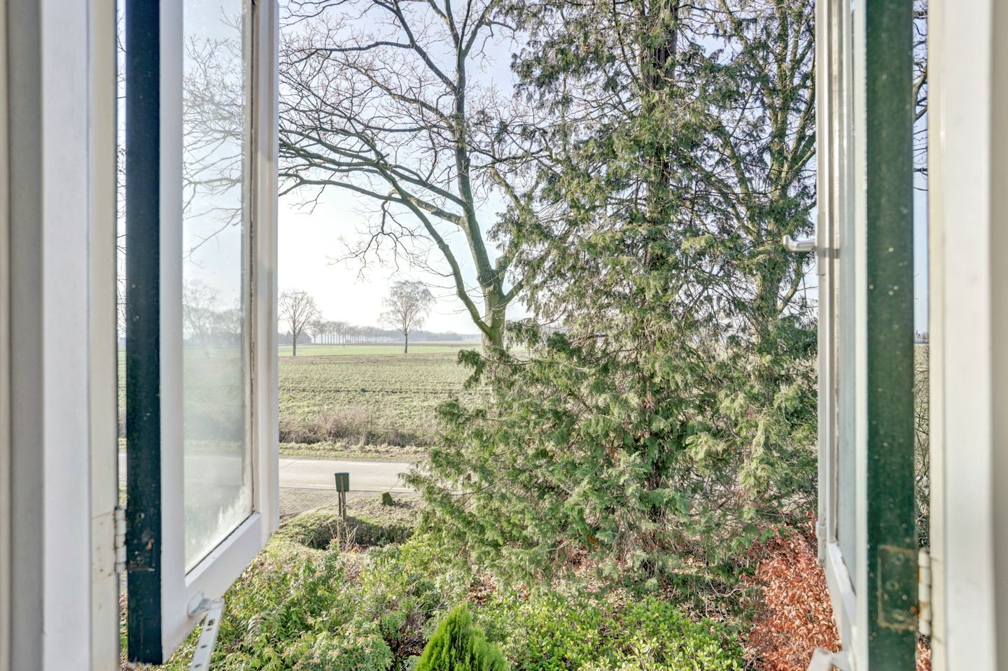 Photo 65 of Nieuwe Strumpt 7