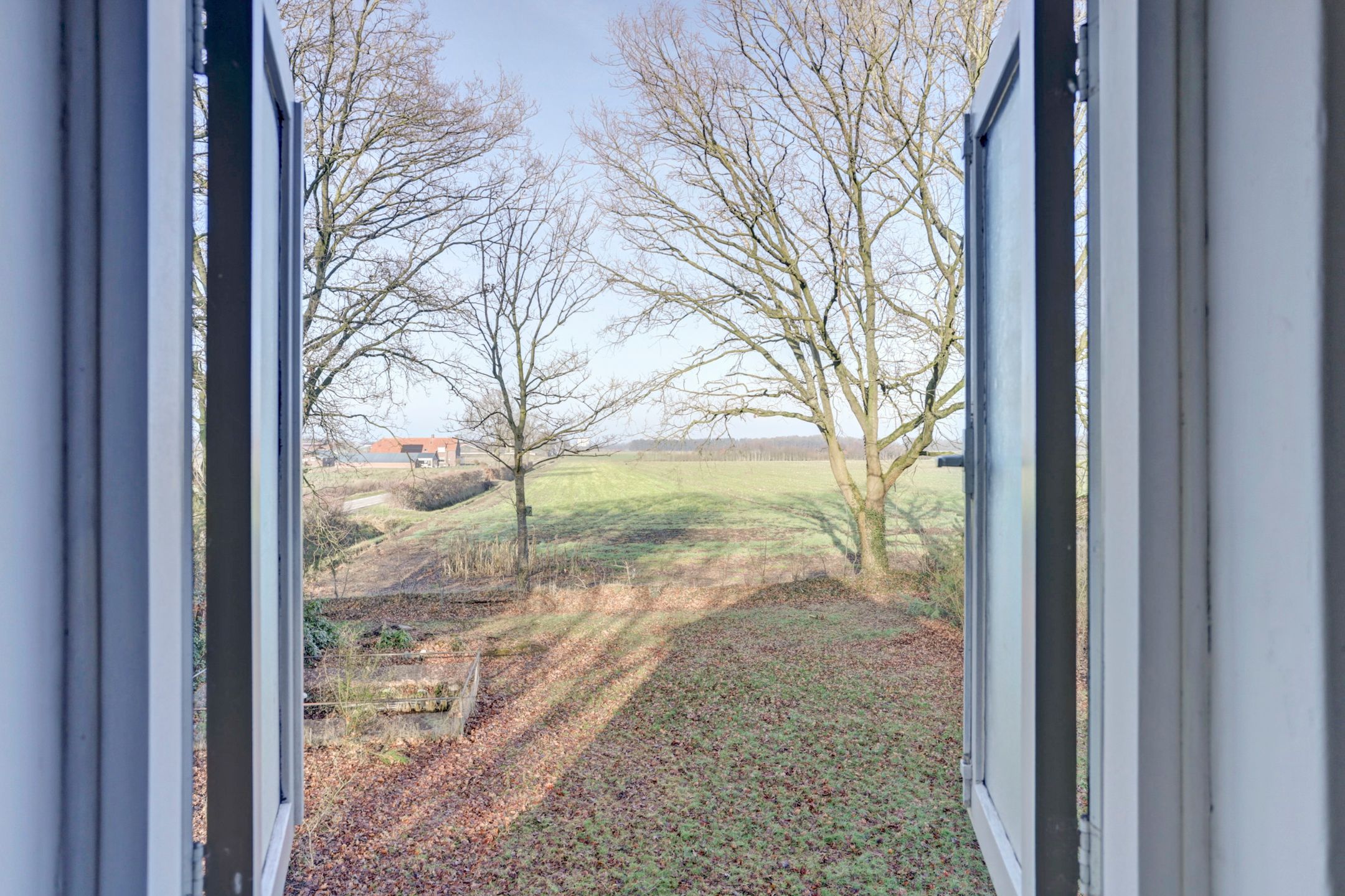 Photo 66 of Nieuwe Strumpt 7