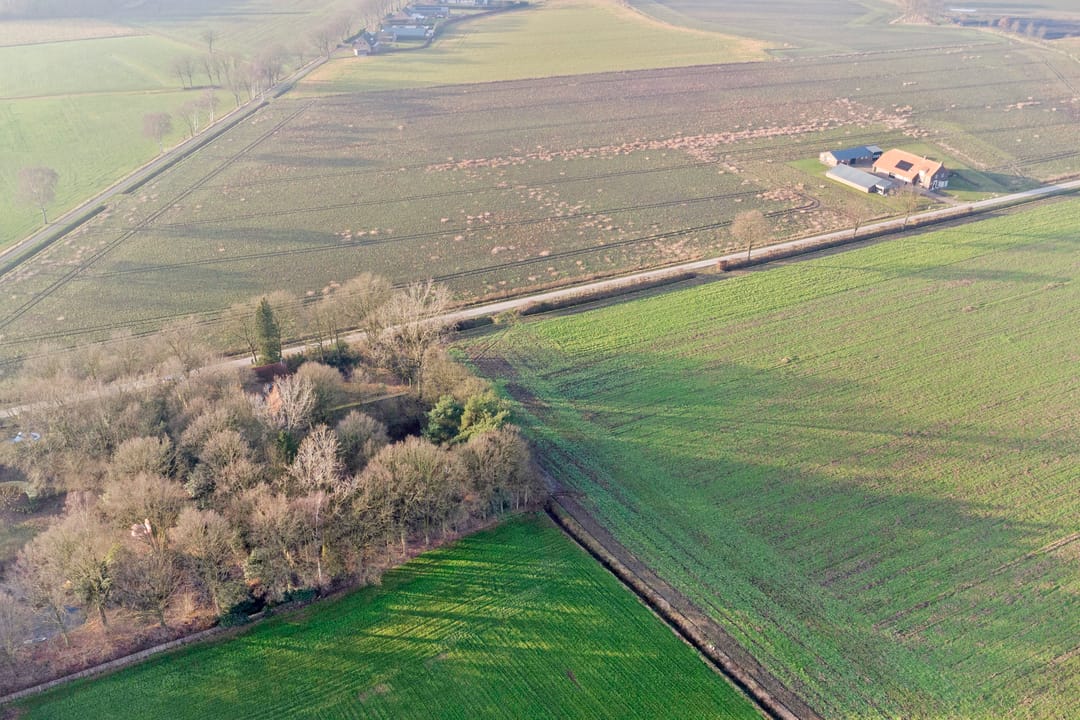 Photo 68 of Nieuwe Strumpt 7
