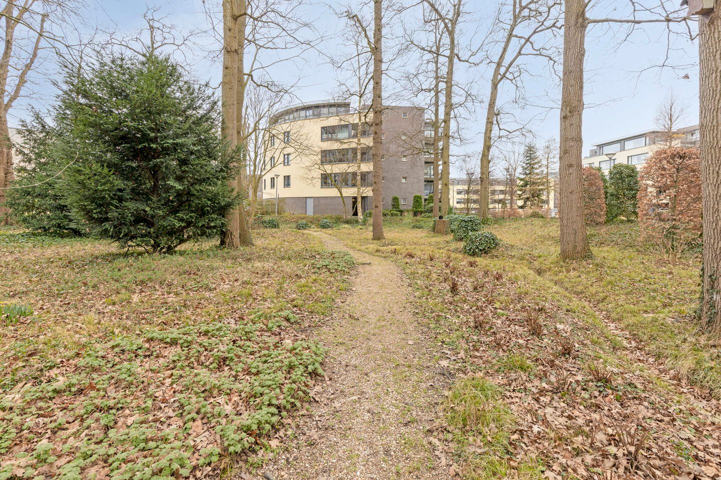 Foto 34 van Mariaplein 27