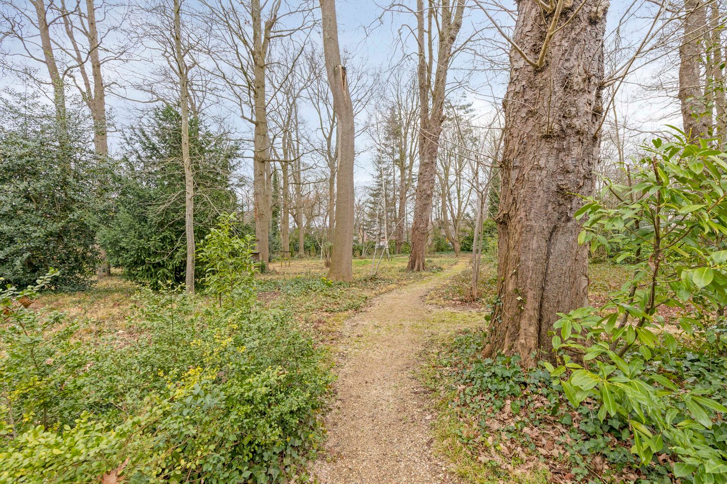 Foto 35 van Mariaplein 27