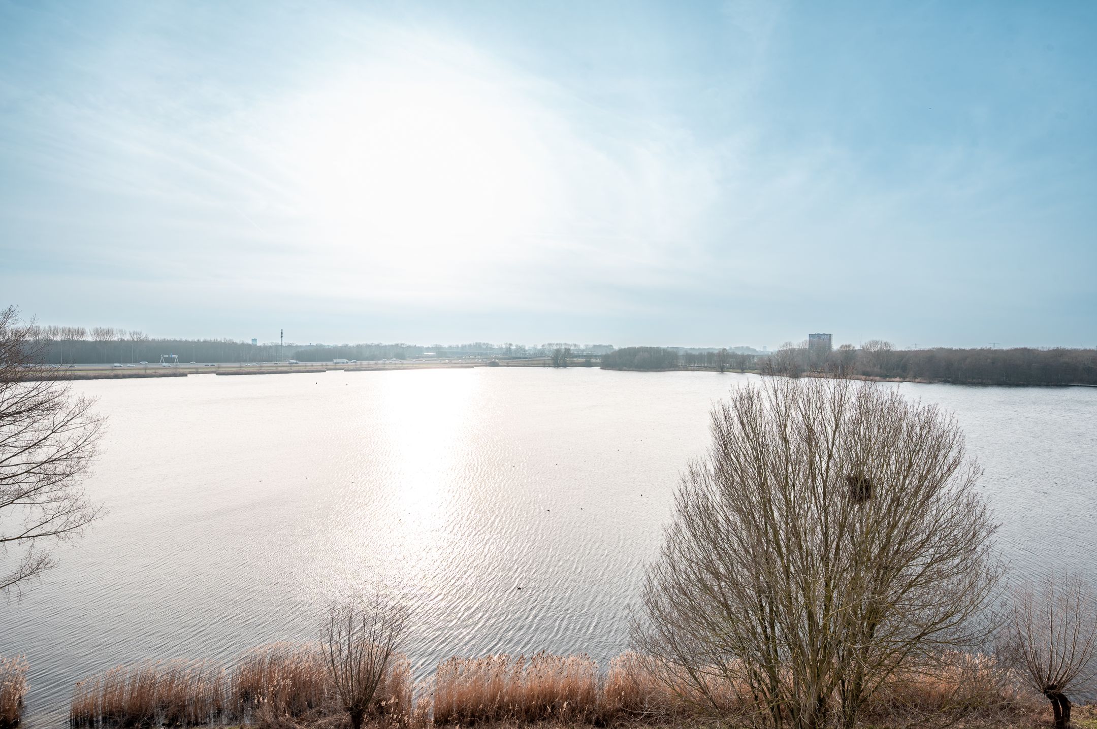 Foto 6 van Fellinilaan 426