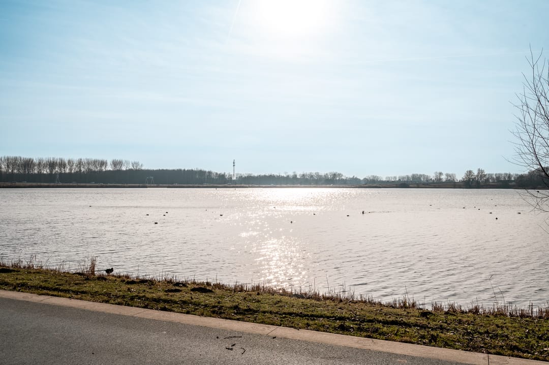 Foto 32 van Fellinilaan 426