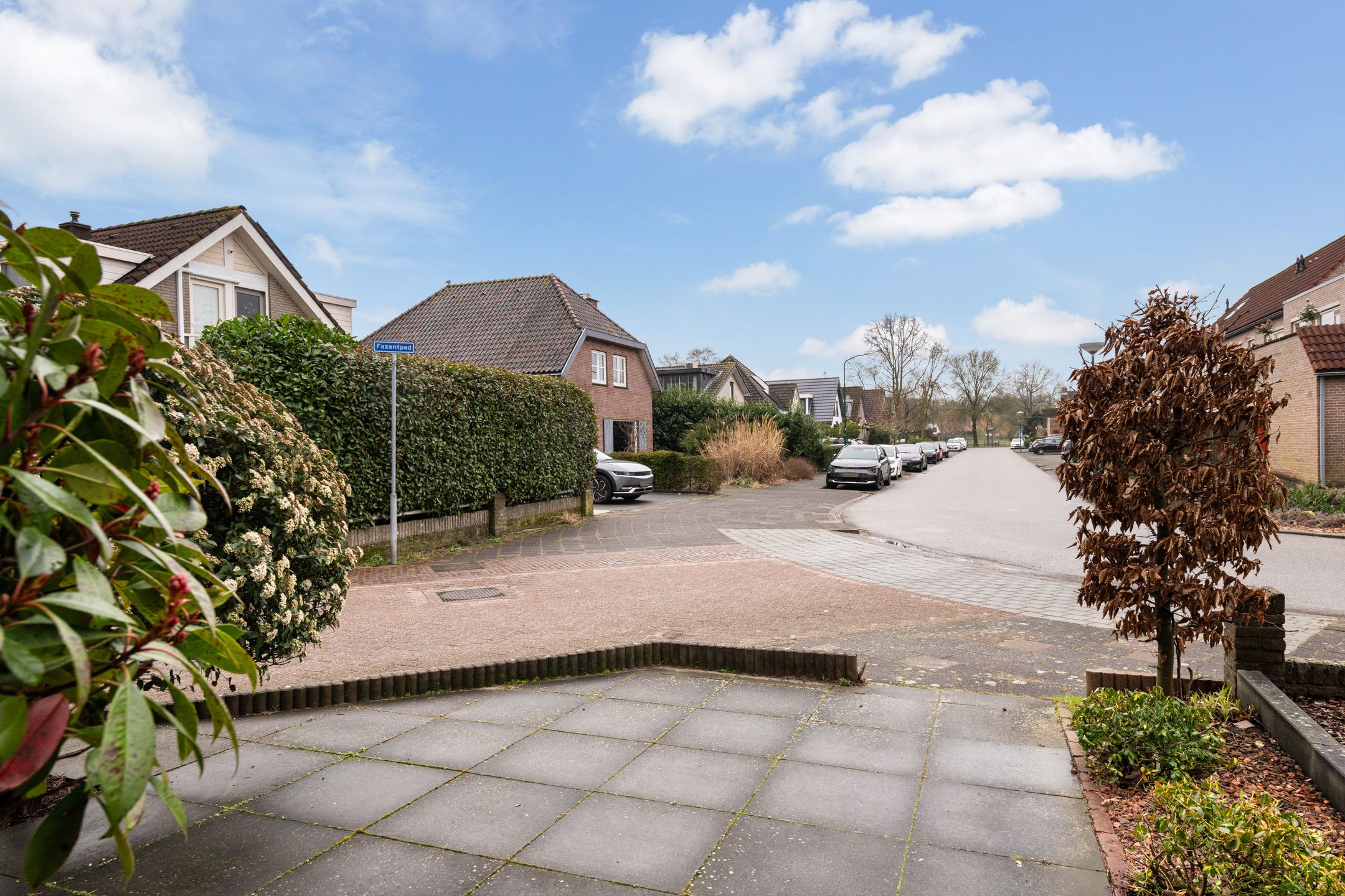 Foto 6 van Hazepad 18