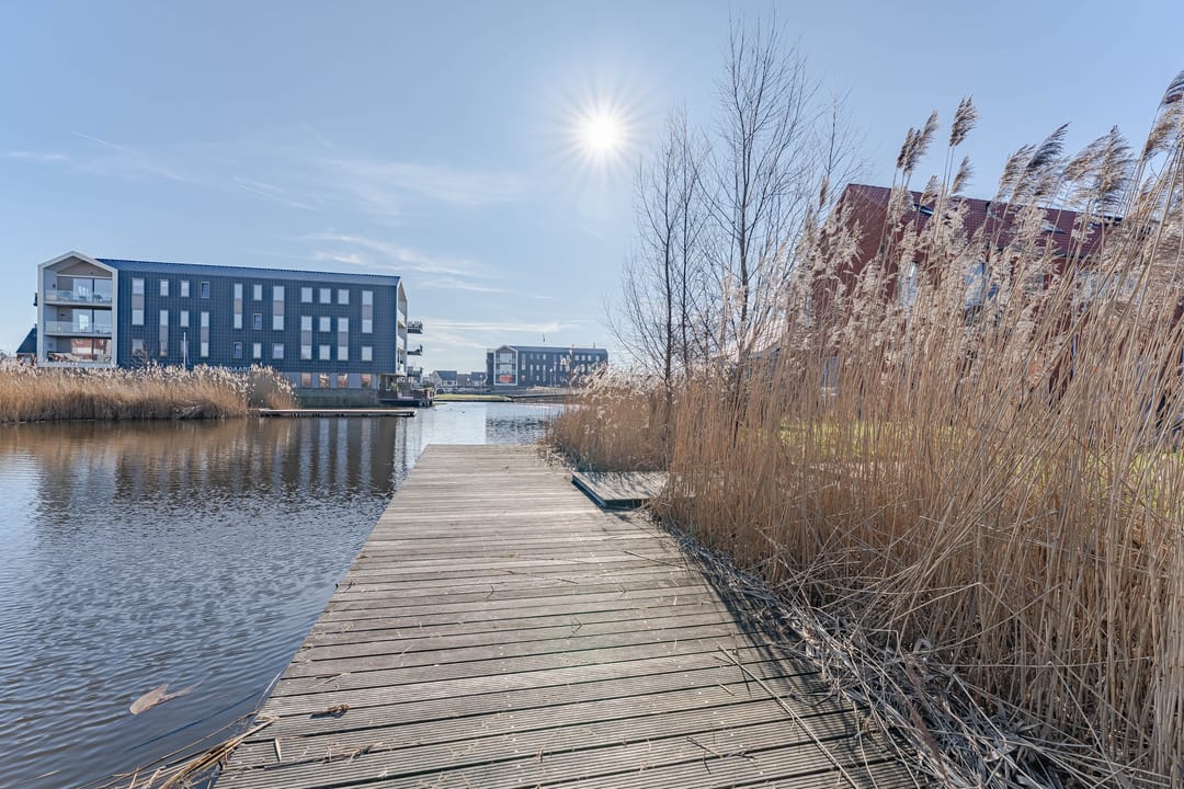 Foto 31 van Kweepeer 4