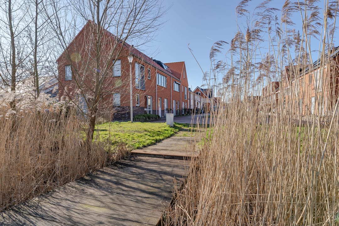 Foto 32 van Kweepeer 4