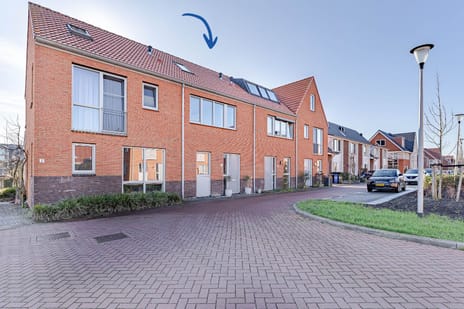 undefined main image