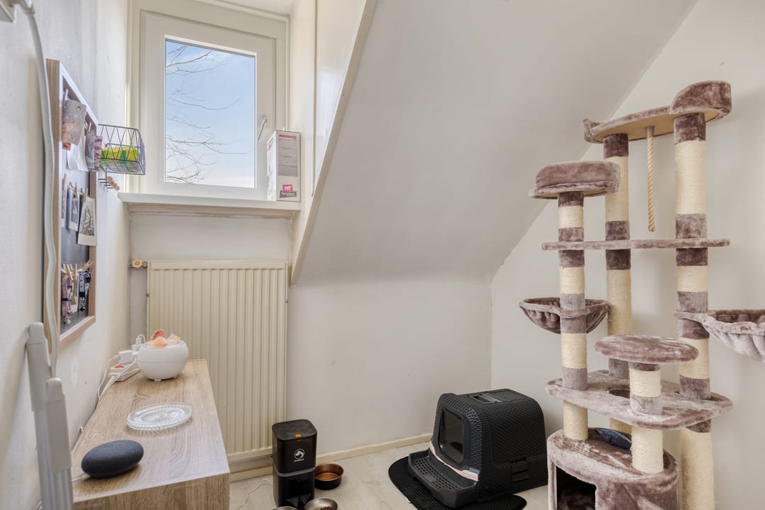 Photo 13 of Cornelis Dopperstraat 13