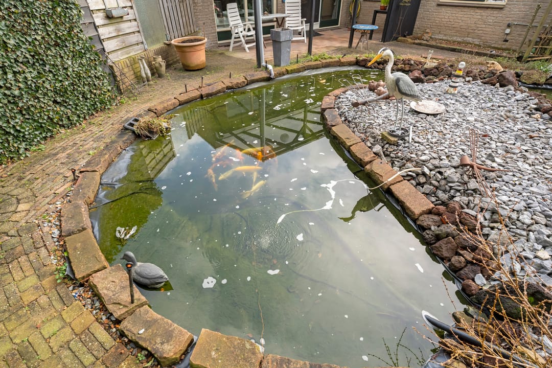 Foto 31 van Het Schild 15