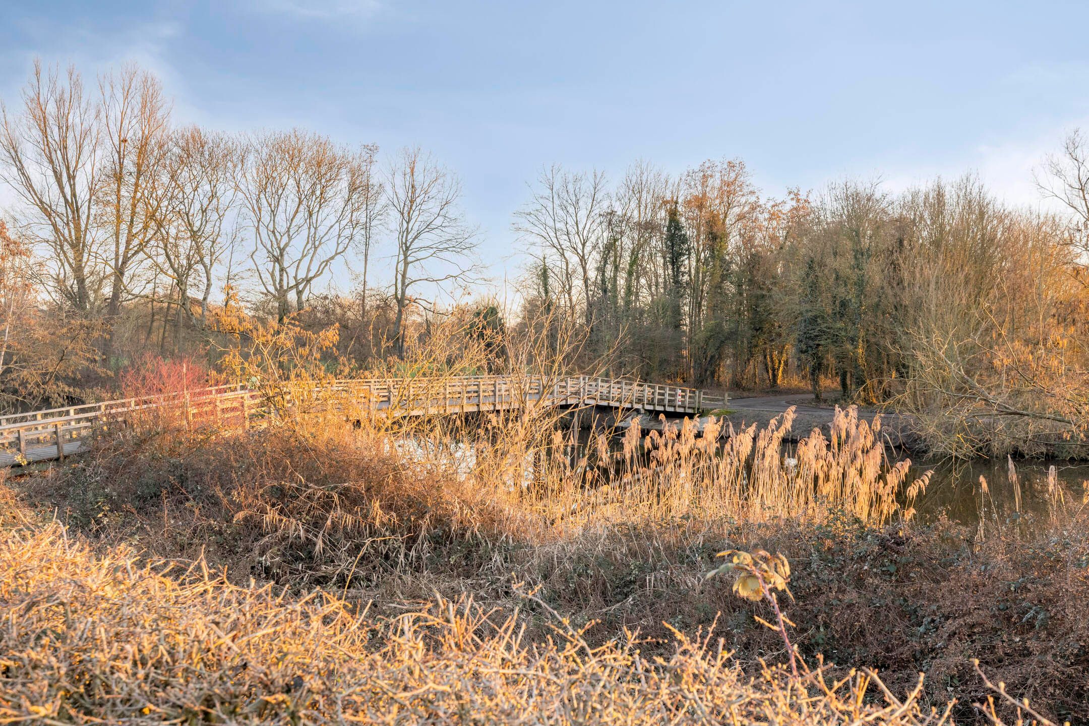 Foto 24 van Sweelinckplein 40