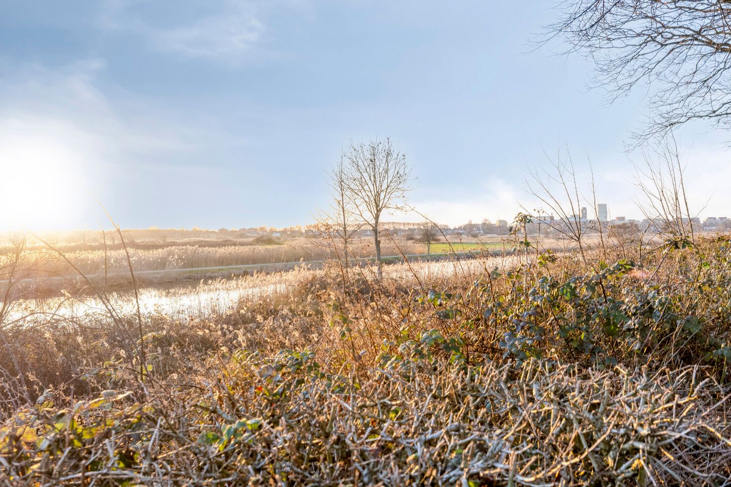 Foto 25 van Sweelinckplein 40