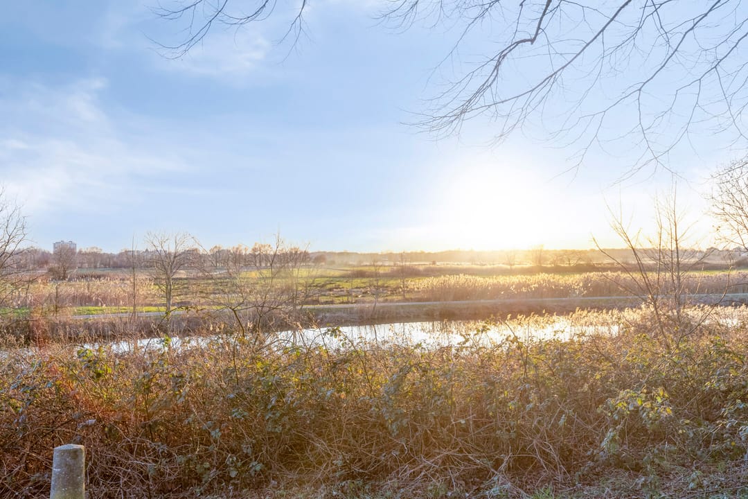 Foto 26 van Sweelinckplein 40