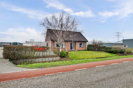 undefined main image