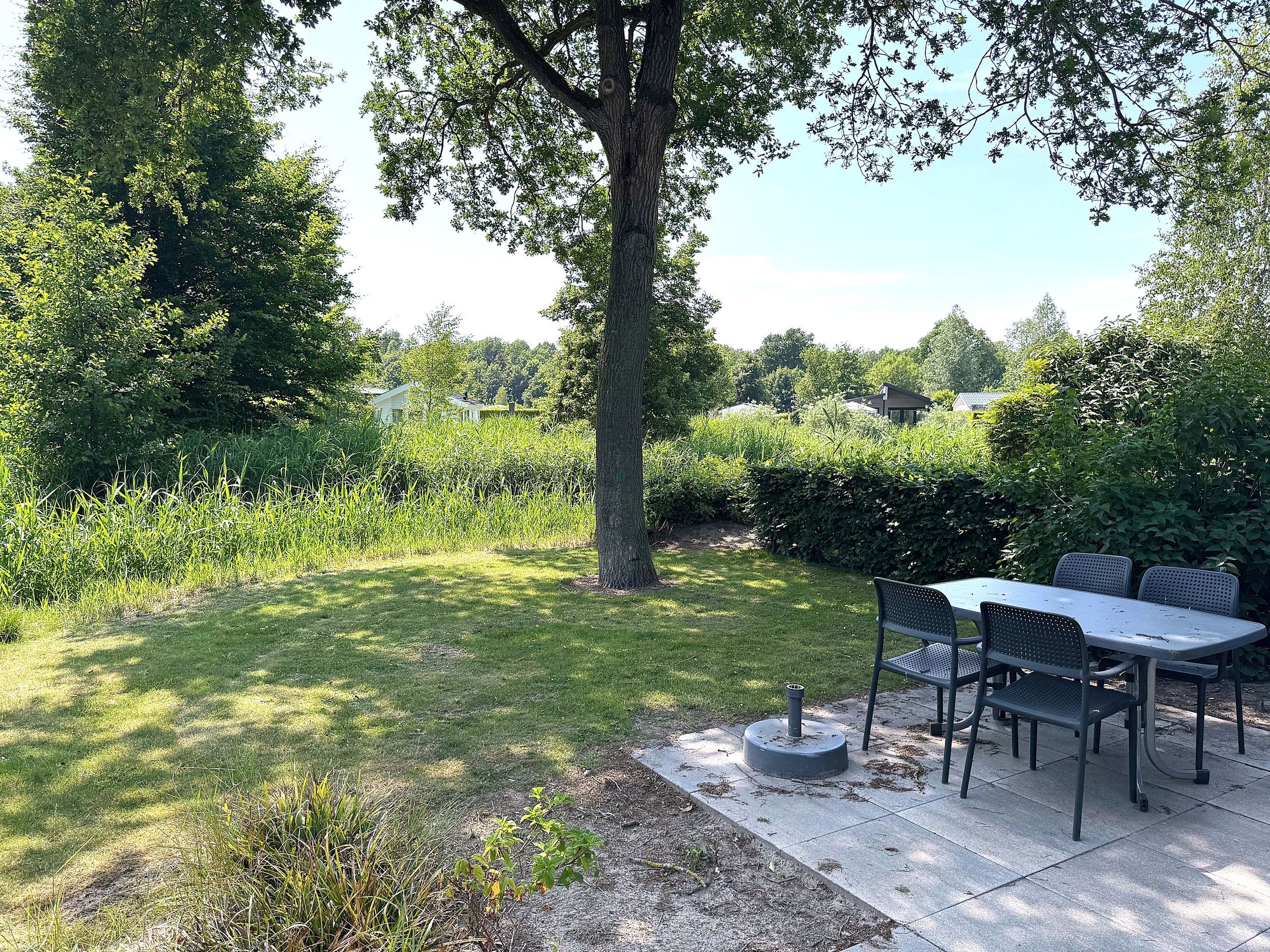 studio freehold villa in Biddinghuizen — photo 5 of 5