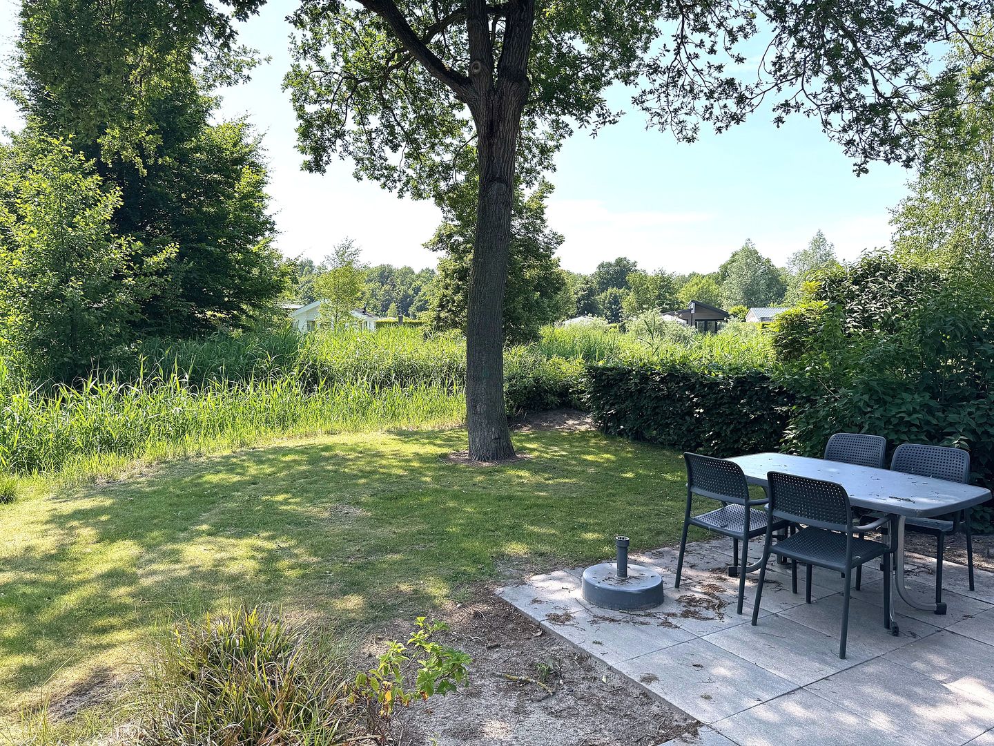 Foto 5 van Spijkweg 15