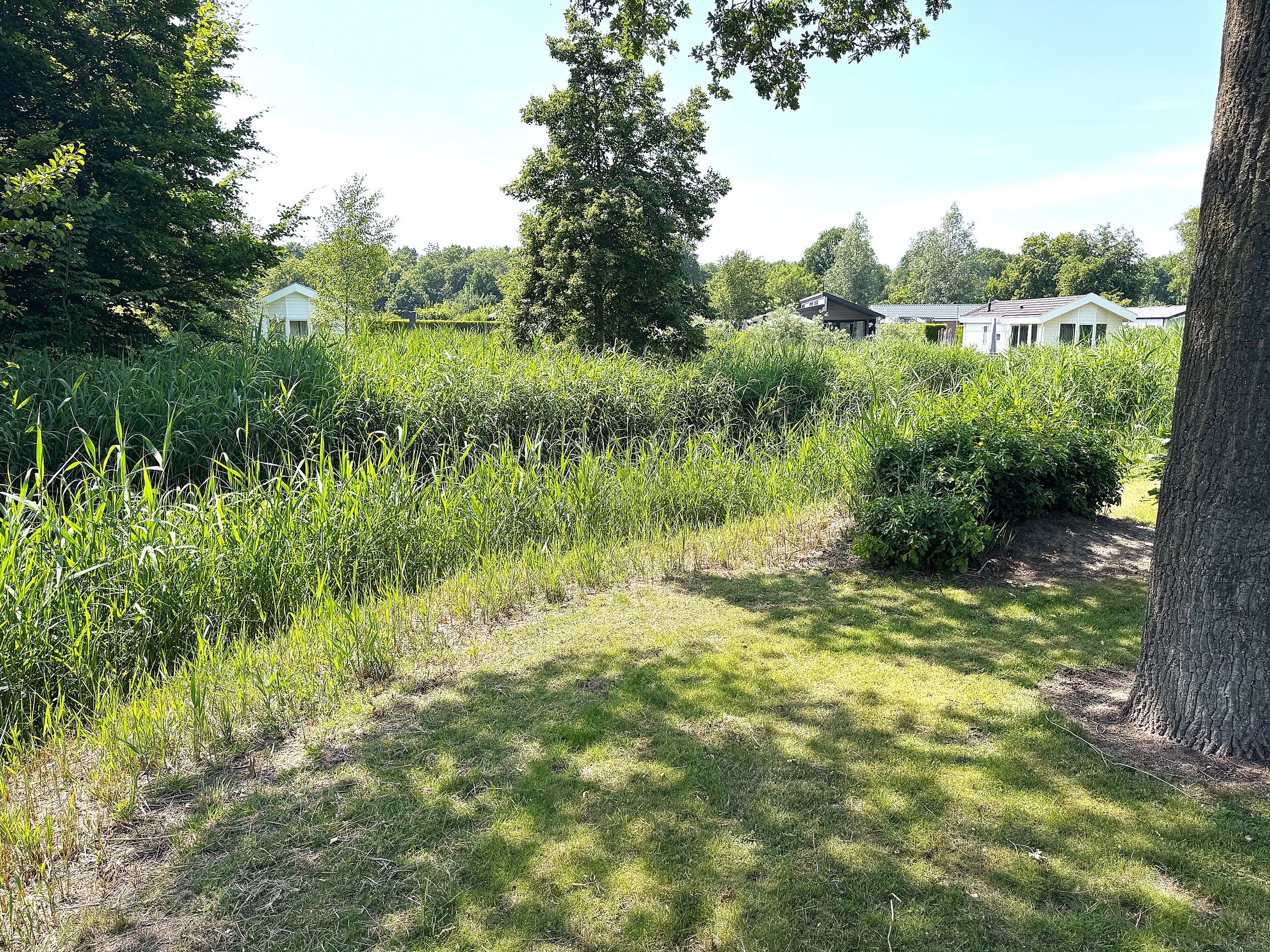 Foto 6 van Spijkweg 15