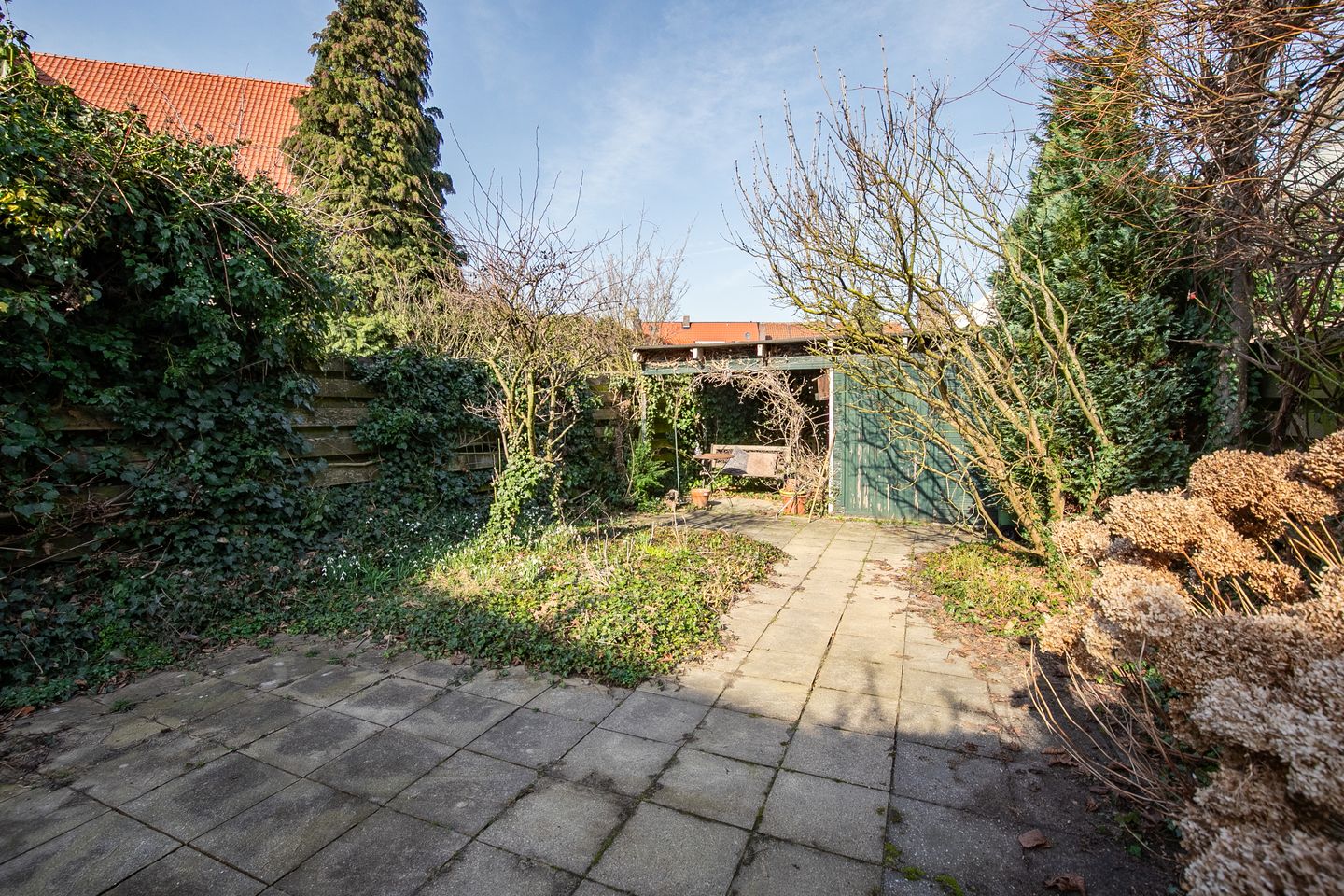 Foto 19 van Ds. Jongeneelstraat 5