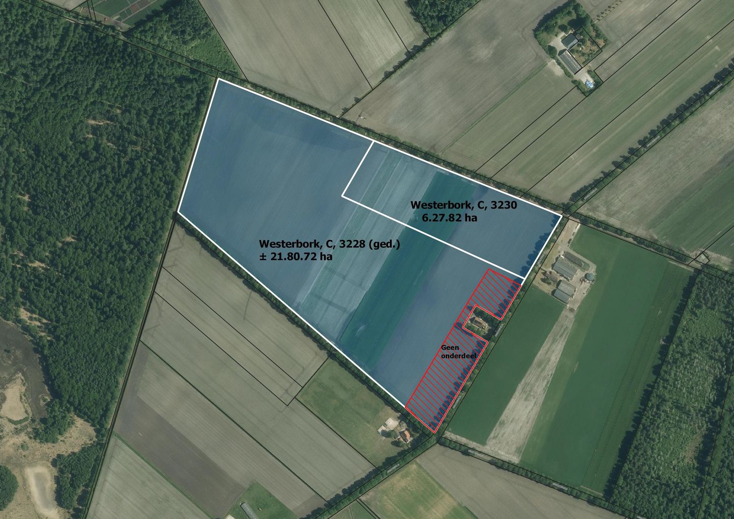 Orvelterveld - Orvelte - Afbeelding 1