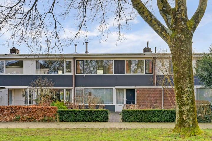 De Savornin Lohmanstraat 14