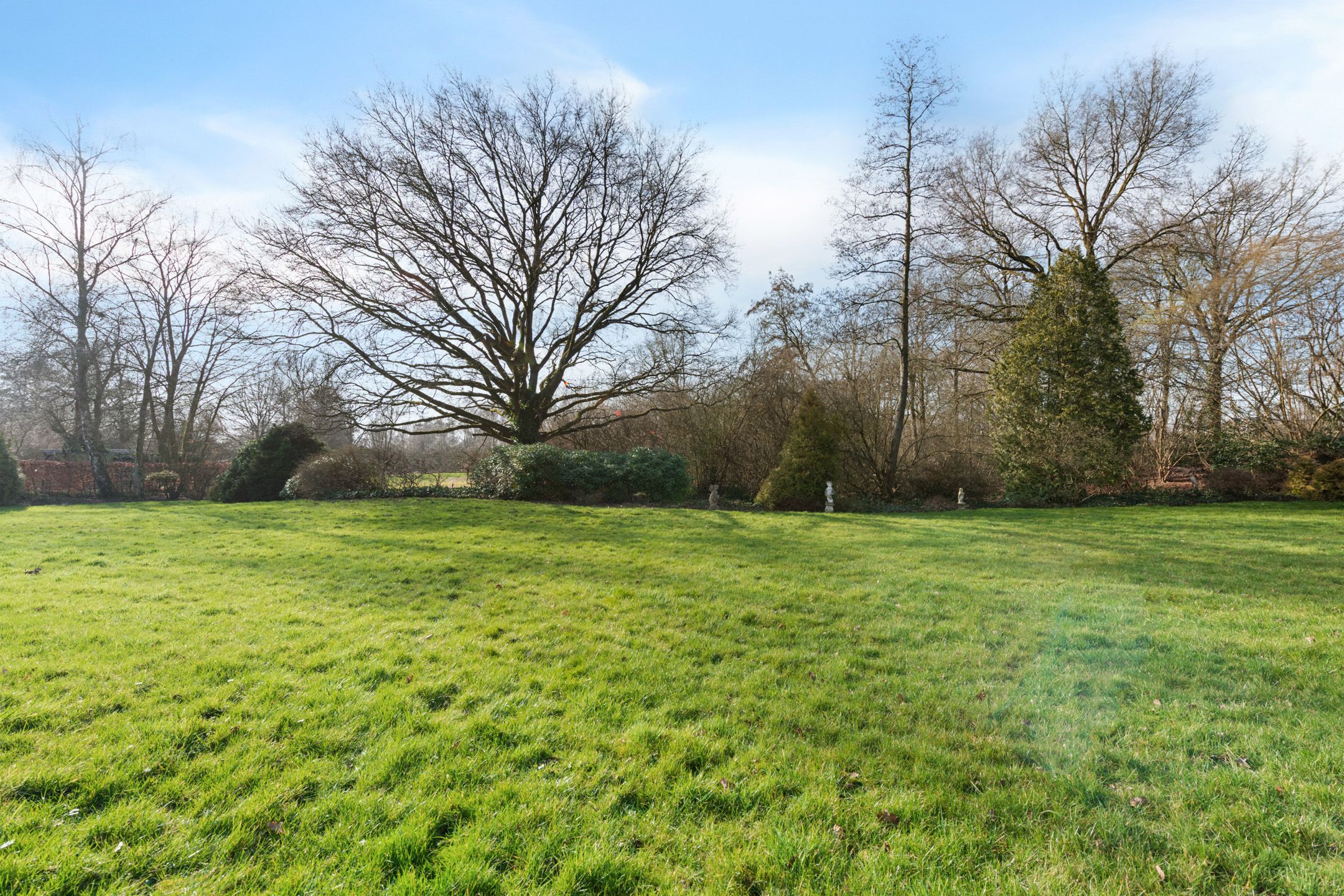 Foto 3 van Adelaartlaan 62