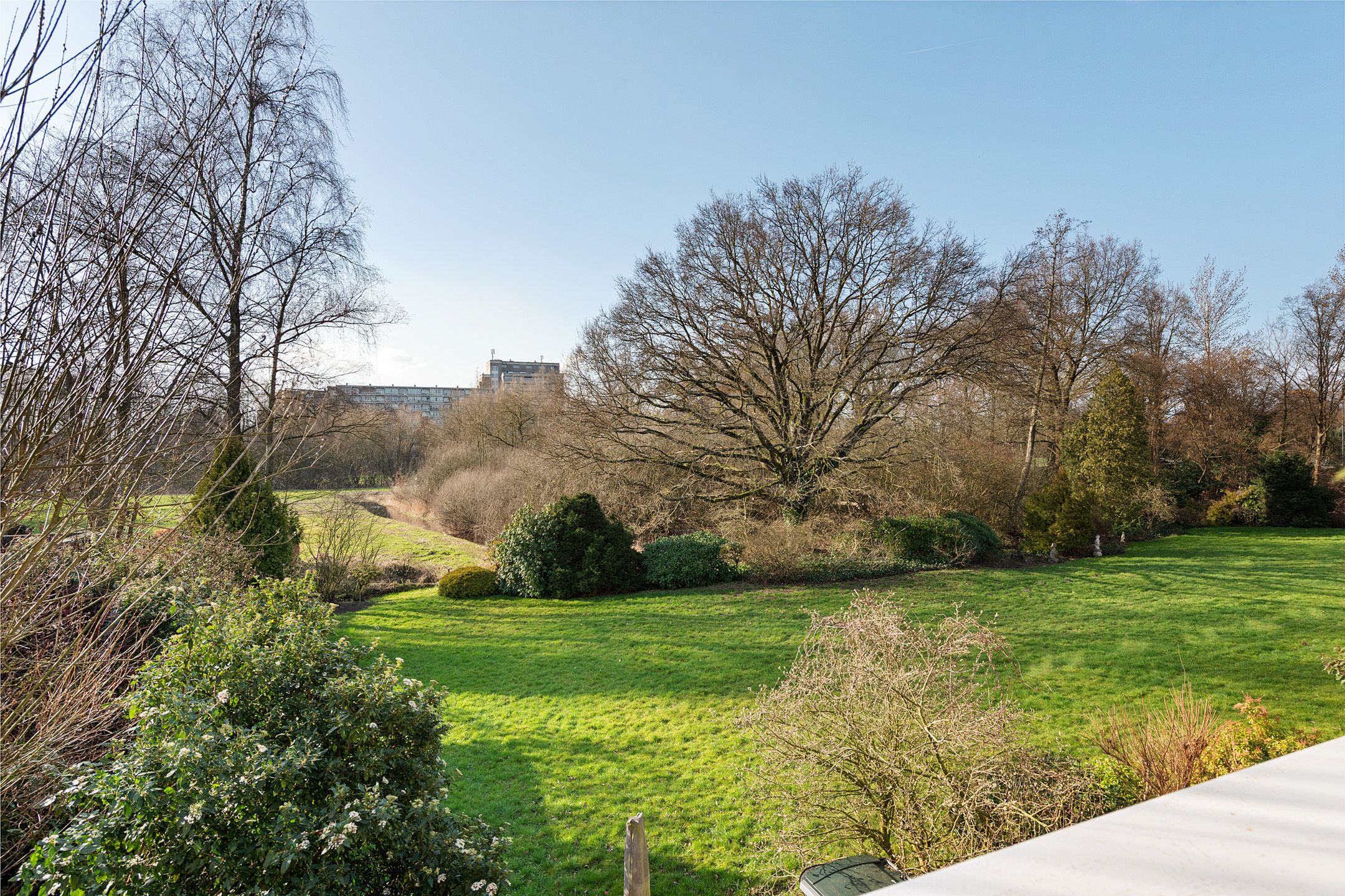 Foto 36 van Adelaartlaan 62