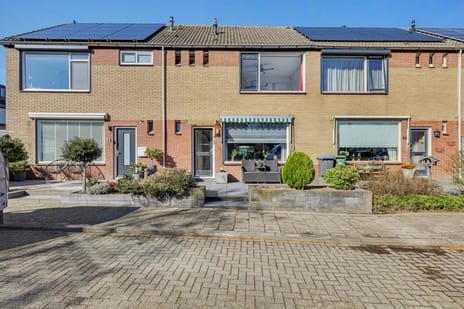 undefined main image