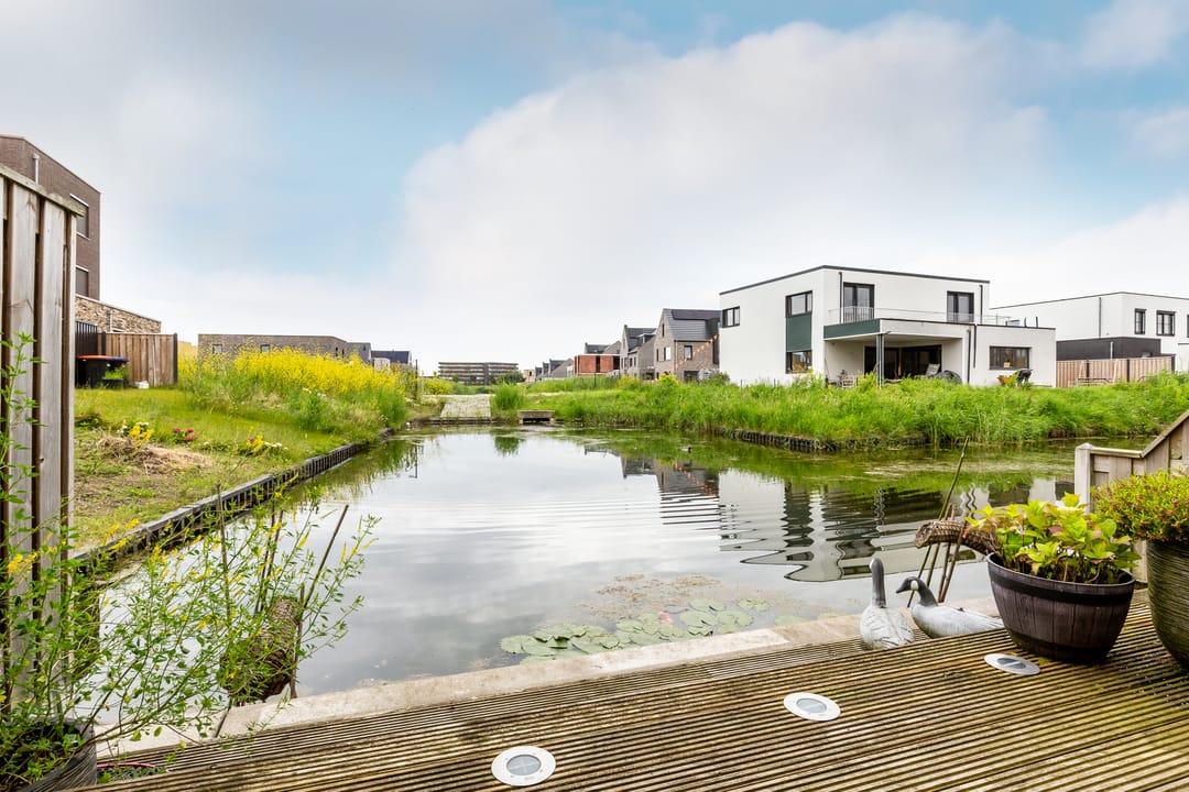 Foto 31 van Haagwinde 13