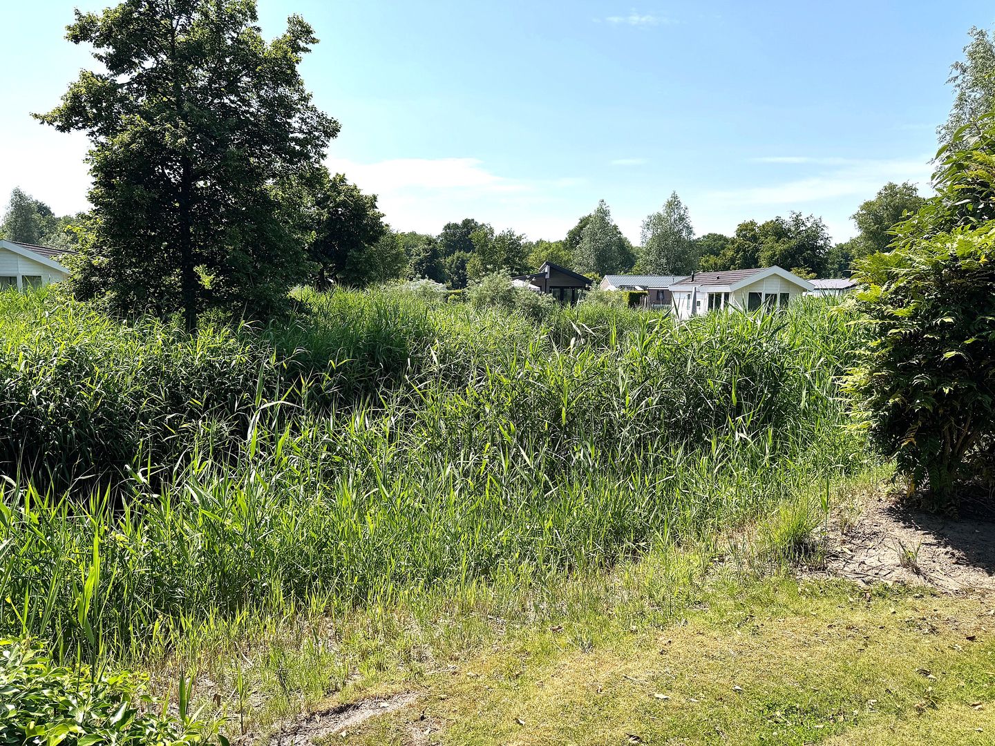 Foto 5 van Spijkweg 15-P551