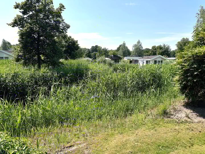 Foto 5 van Spijkweg 15-P551