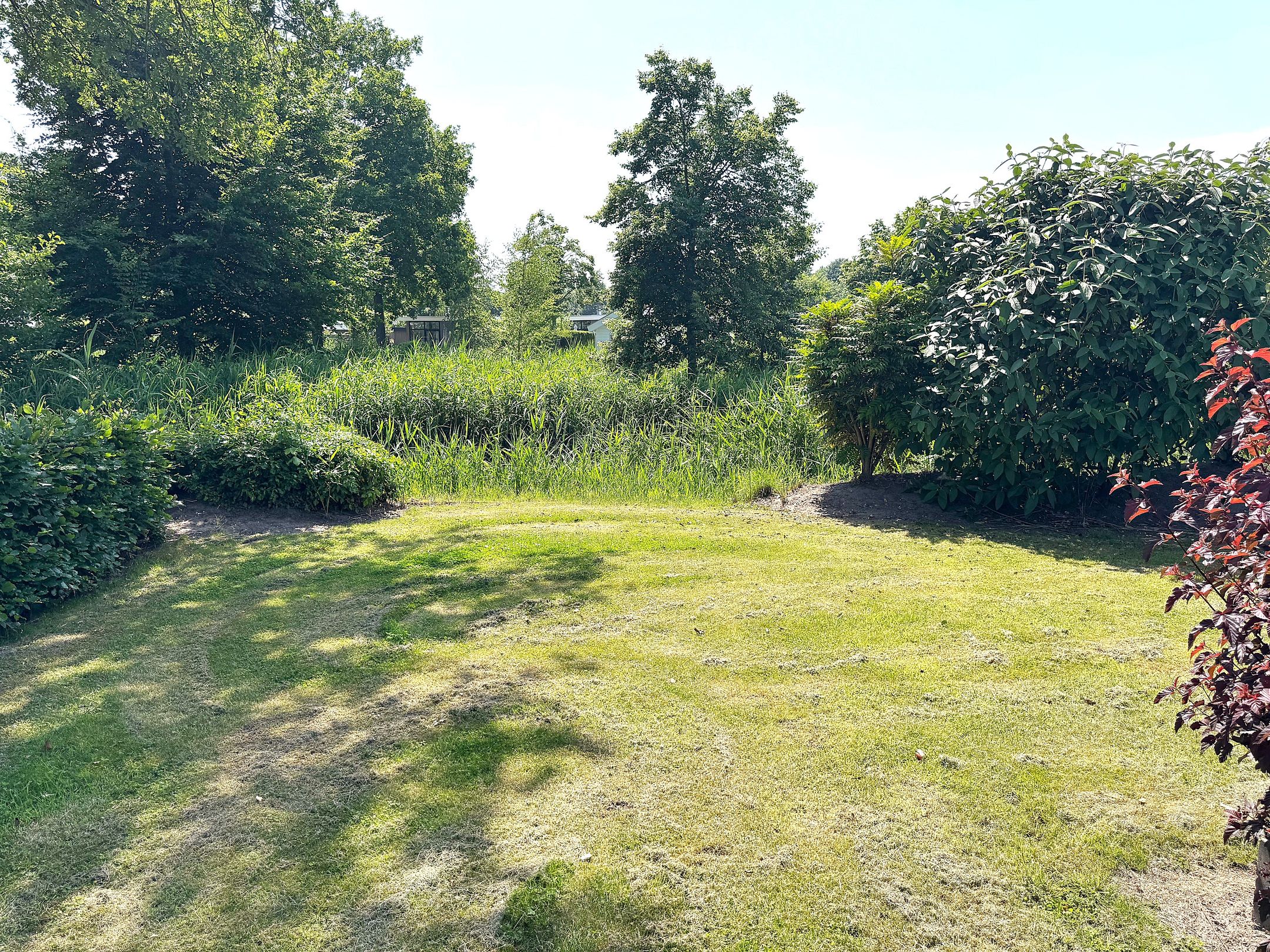 Foto 6 van Spijkweg 15-P551