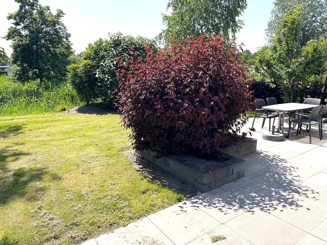 Foto 7 van Spijkweg 15-P551