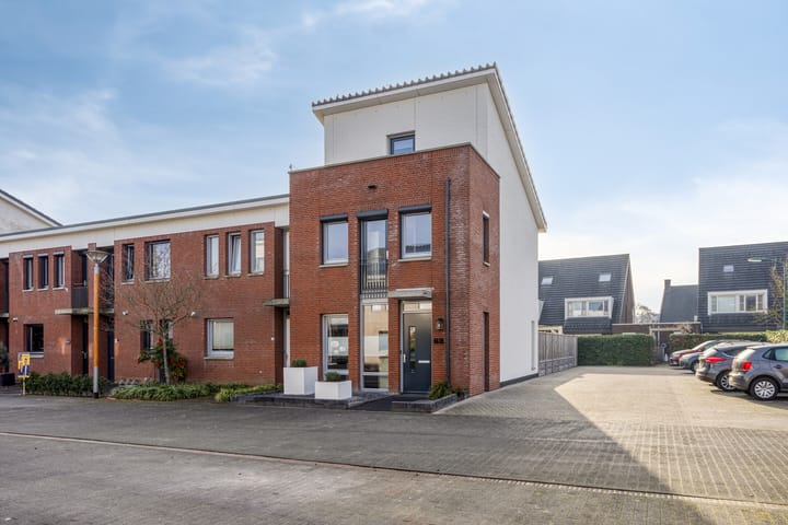 Havikskruid 62 main image