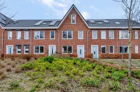 undefined main image